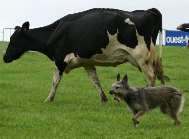 Bild laden 479_Olympe.jpg