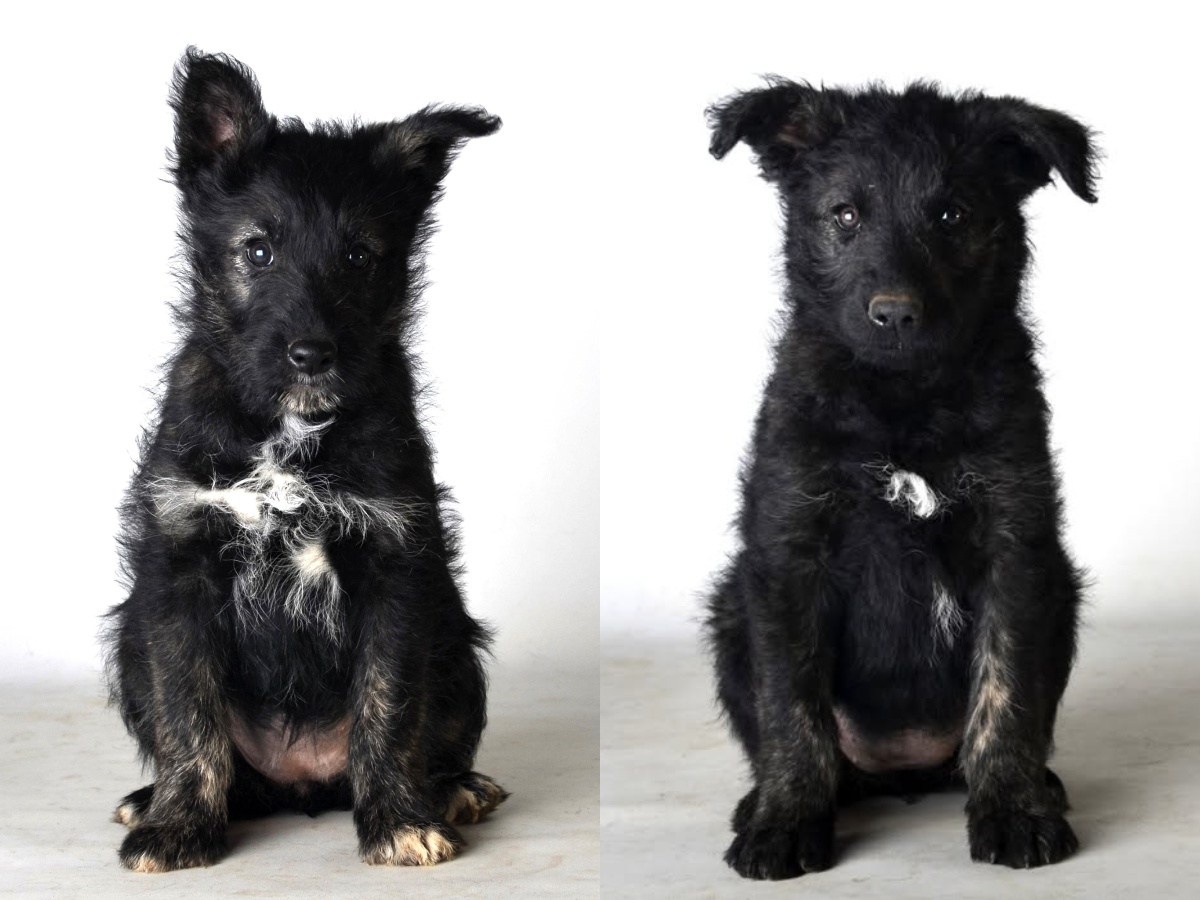 Bild laden wb_450_Urmelu.Ute.jpg